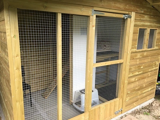 Outdoor stud cat pen with sheltered sleeping area — housing a stud cat outdoors