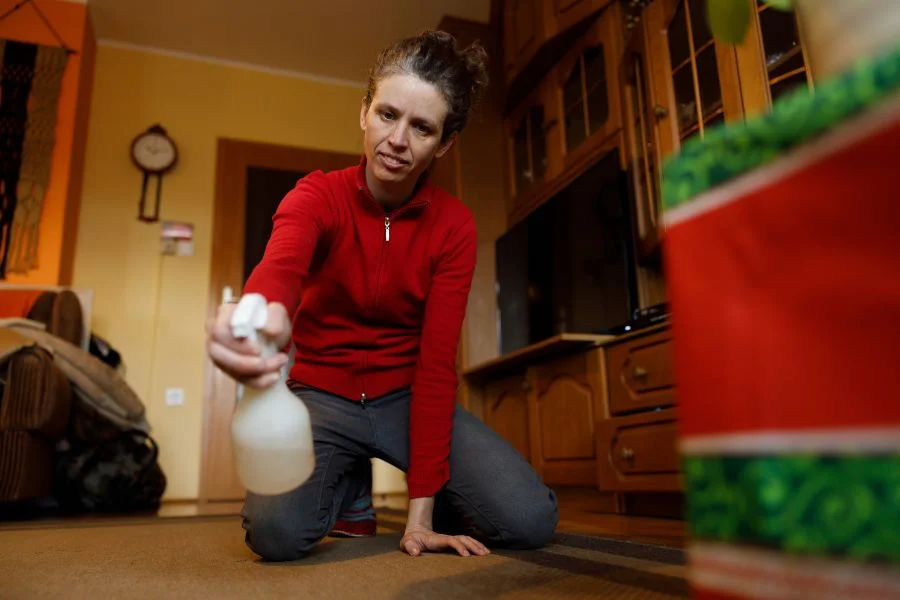 Cleaning cat pee off carpet — standard cleaning products often fail because they mask the smell rather than eliminating it