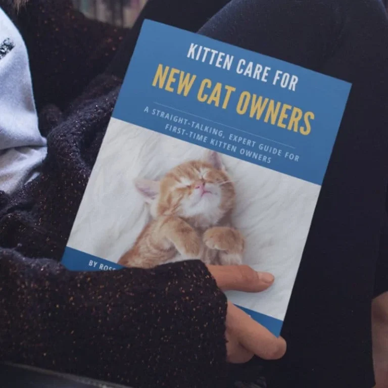 Kitten Care for New Cat Owners eBook by Ross Davies