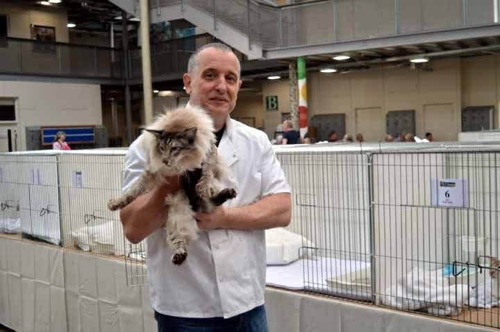 GCCF Judge Ross Davies - holding a Balinese in a large GCCF show hall with rows of exhibitor pens behind
