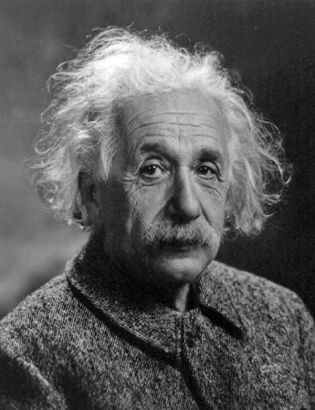 Albert Einstein figurine — do you need to become an expert to breed cats?