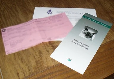 Cat blood test results showing negative FeLV and FIV - required before going to stud